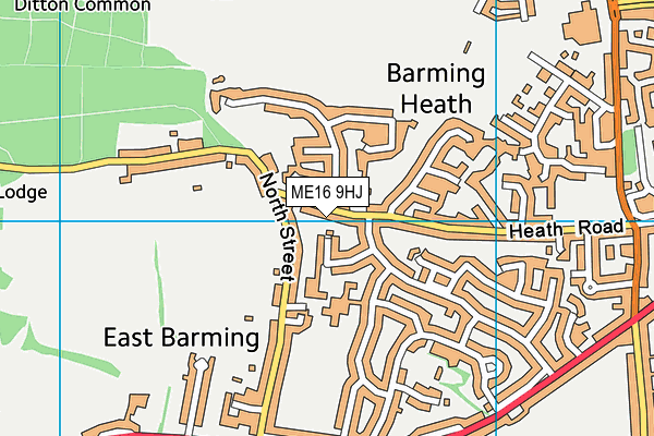 ME16 9HJ map - OS VectorMap District (Ordnance Survey)