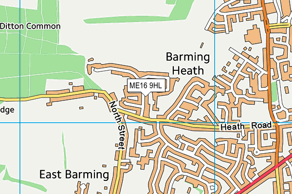 ME16 9HL map - OS VectorMap District (Ordnance Survey)