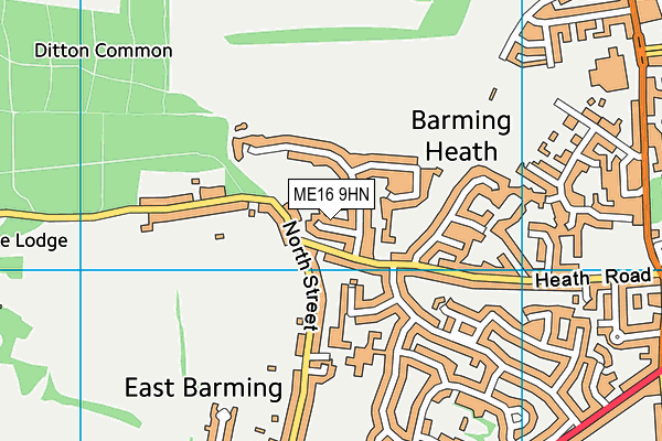 ME16 9HN map - OS VectorMap District (Ordnance Survey)