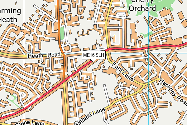 ME16 9LH map - OS VectorMap District (Ordnance Survey)