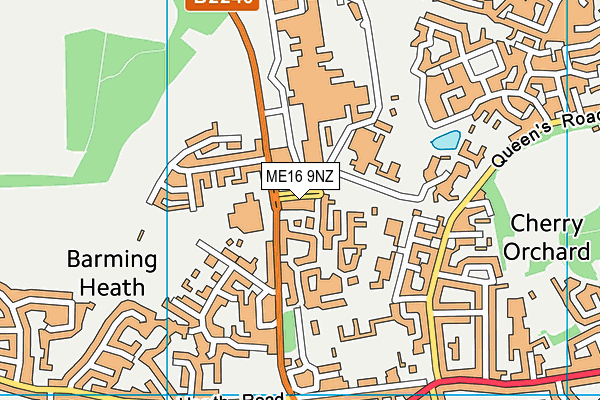 ME16 9NZ map - OS VectorMap District (Ordnance Survey)