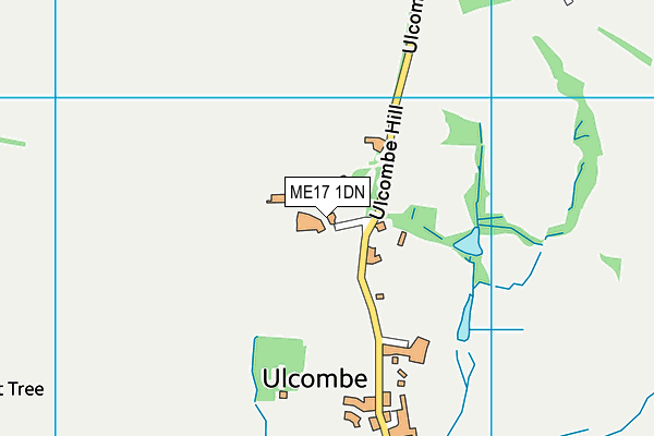 ME17 1DN map - OS VectorMap District (Ordnance Survey)