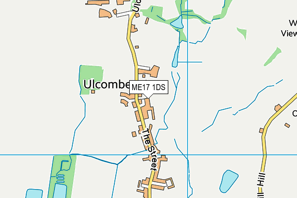 ME17 1DS map - OS VectorMap District (Ordnance Survey)