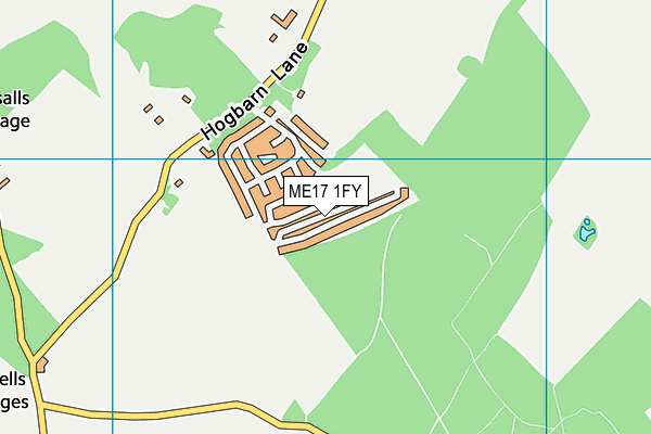 ME17 1FY map - OS VectorMap District (Ordnance Survey)