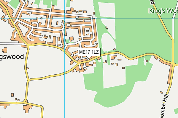 ME17 1LZ map - OS VectorMap District (Ordnance Survey)