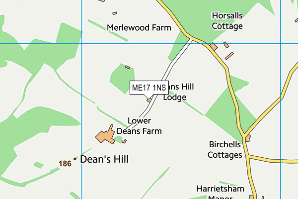 ME17 1NS map - OS VectorMap District (Ordnance Survey)