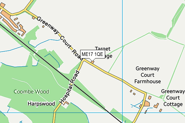 ME17 1QE map - OS VectorMap District (Ordnance Survey)