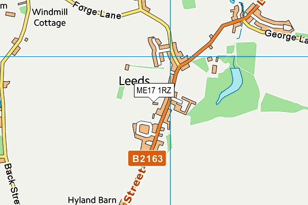 ME17 1RZ map - OS VectorMap District (Ordnance Survey)