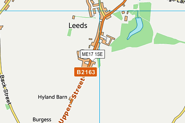 ME17 1SE map - OS VectorMap District (Ordnance Survey)