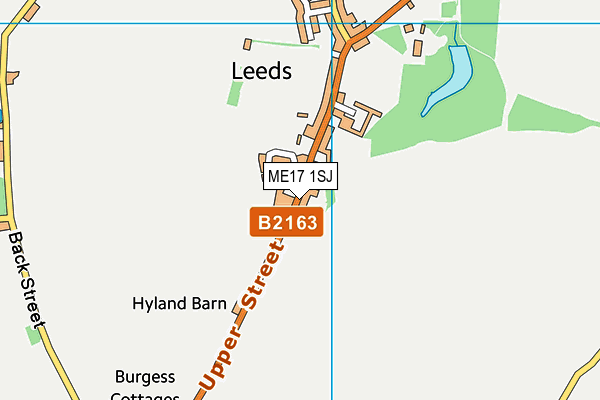 ME17 1SJ map - OS VectorMap District (Ordnance Survey)