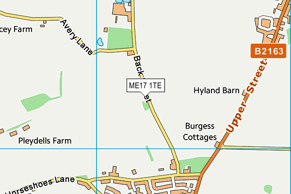 ME17 1TE map - OS VectorMap District (Ordnance Survey)