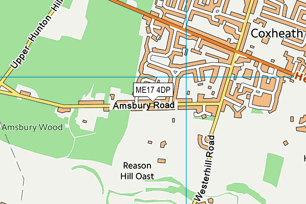 ME17 4DP map - OS VectorMap District (Ordnance Survey)