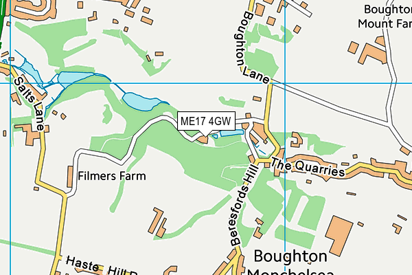 ME17 4GW map - OS VectorMap District (Ordnance Survey)