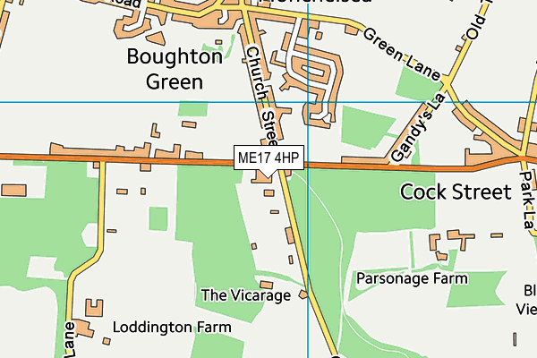 Boughton Monchelsea Primary School map (ME17 4HP) - OS VectorMap District (Ordnance Survey)