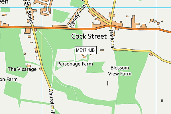 ME17 4JB map - OS VectorMap District (Ordnance Survey)