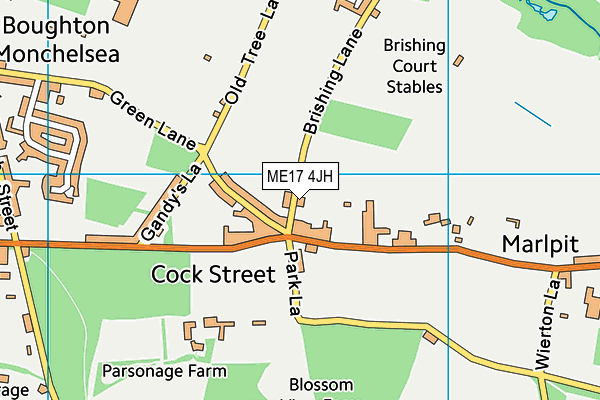 ME17 4JH map - OS VectorMap District (Ordnance Survey)