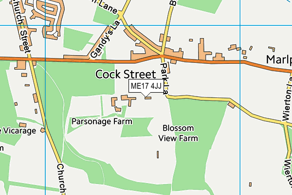 ME17 4JJ map - OS VectorMap District (Ordnance Survey)