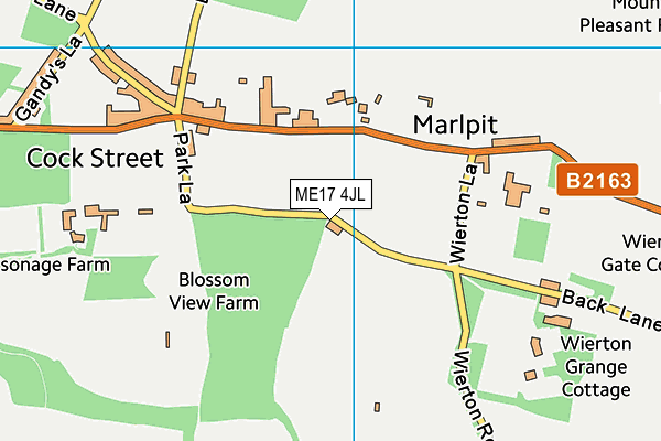 ME17 4JL map - OS VectorMap District (Ordnance Survey)