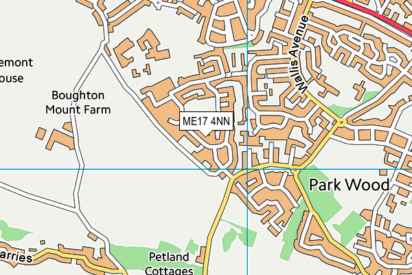 ME17 4NN map - OS VectorMap District (Ordnance Survey)