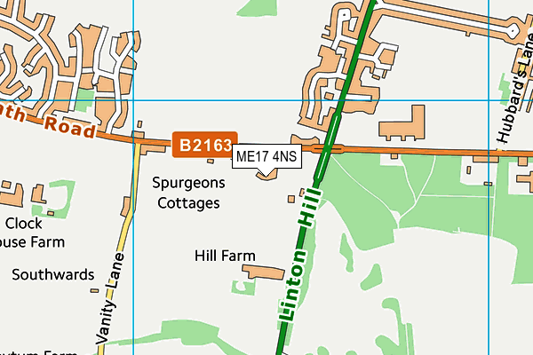 ME17 4NS map - OS VectorMap District (Ordnance Survey)