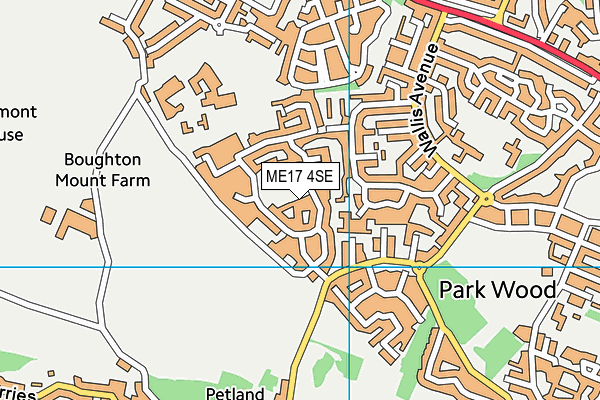 ME17 4SE map - OS VectorMap District (Ordnance Survey)
