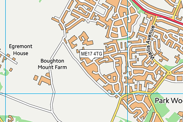 ME17 4TG map - OS VectorMap District (Ordnance Survey)