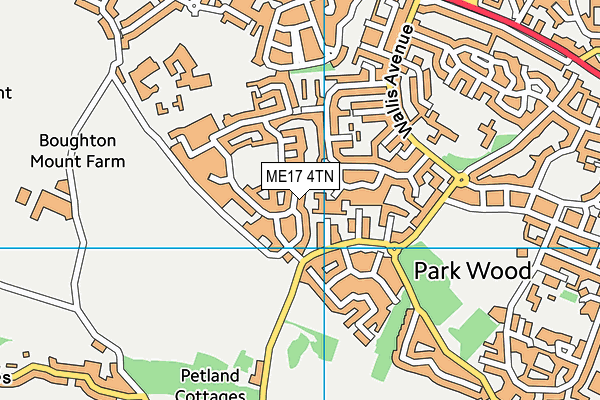 ME17 4TN map - OS VectorMap District (Ordnance Survey)
