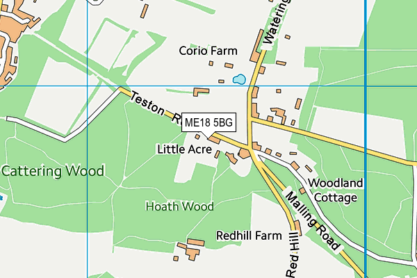 ME18 5BG map - OS VectorMap District (Ordnance Survey)