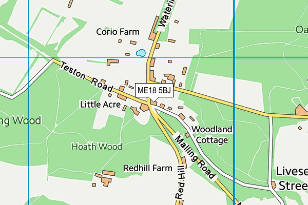 ME18 5BJ map - OS VectorMap District (Ordnance Survey)