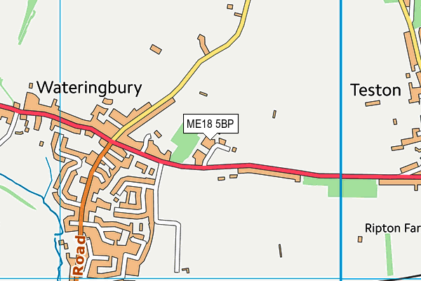 ME18 5BP map - OS VectorMap District (Ordnance Survey)