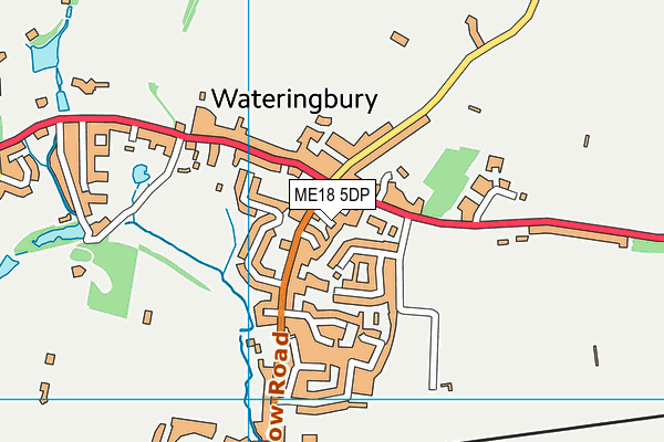 ME18 5DP map - OS VectorMap District (Ordnance Survey)