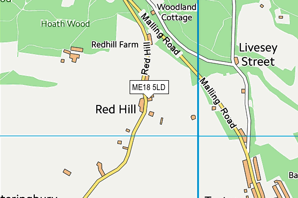 ME18 5LD map - OS VectorMap District (Ordnance Survey)