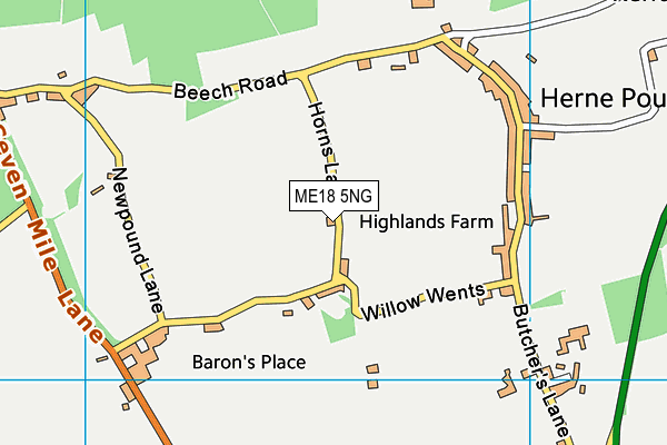 ME18 5NG map - OS VectorMap District (Ordnance Survey)