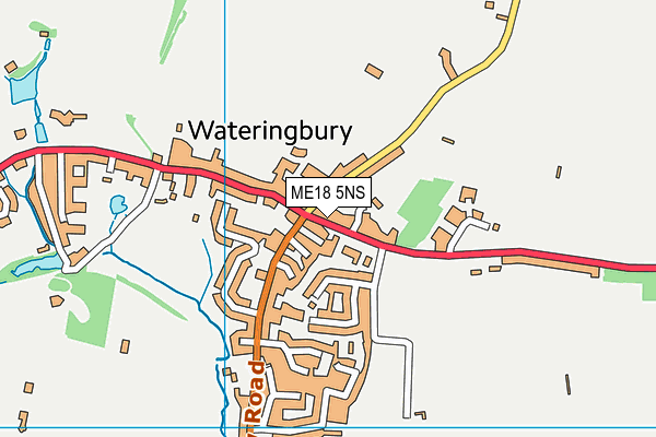 ME18 5NS map - OS VectorMap District (Ordnance Survey)
