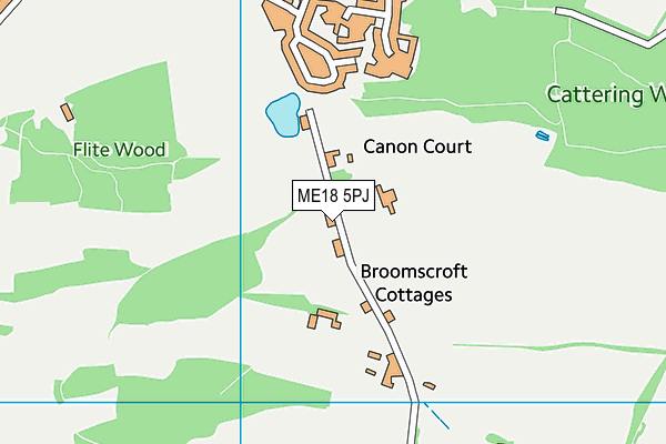 ME18 5PJ map - OS VectorMap District (Ordnance Survey)