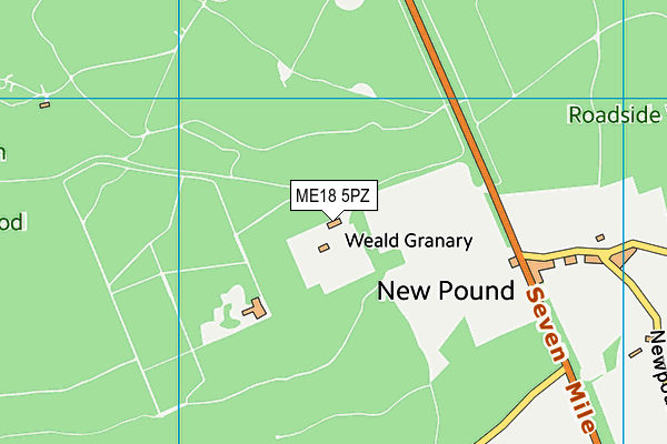 ME18 5PZ map - OS VectorMap District (Ordnance Survey)