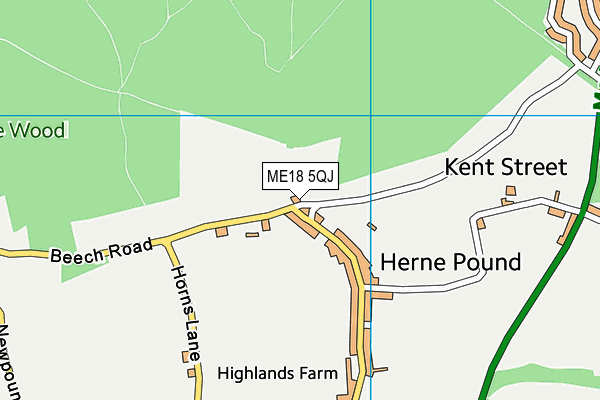 ME18 5QJ map - OS VectorMap District (Ordnance Survey)