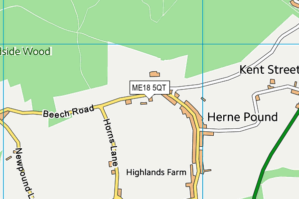 ME18 5QT map - OS VectorMap District (Ordnance Survey)