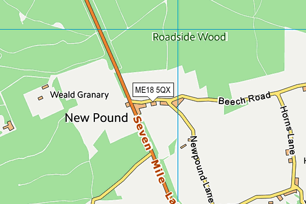 ME18 5QX map - OS VectorMap District (Ordnance Survey)