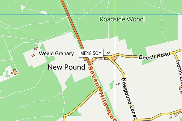 ME18 5QY map - OS VectorMap District (Ordnance Survey)