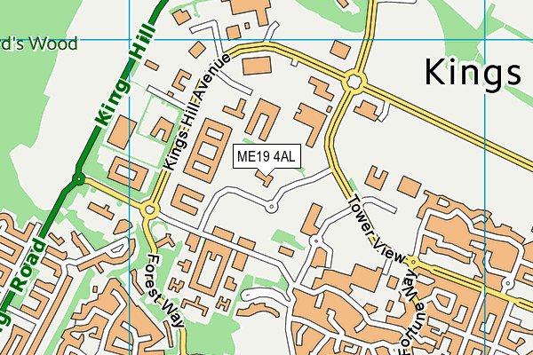 ME19 4AL map - OS VectorMap District (Ordnance Survey)