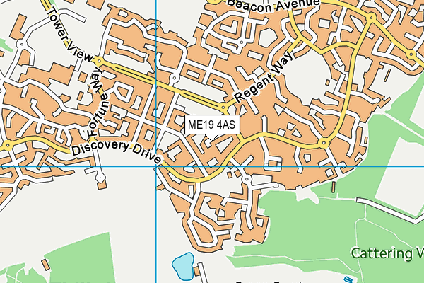 ME19 4AS map - OS VectorMap District (Ordnance Survey)