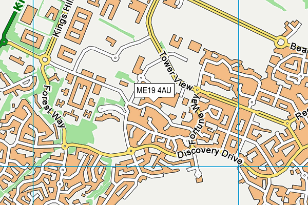 ME19 4AU map - OS VectorMap District (Ordnance Survey)