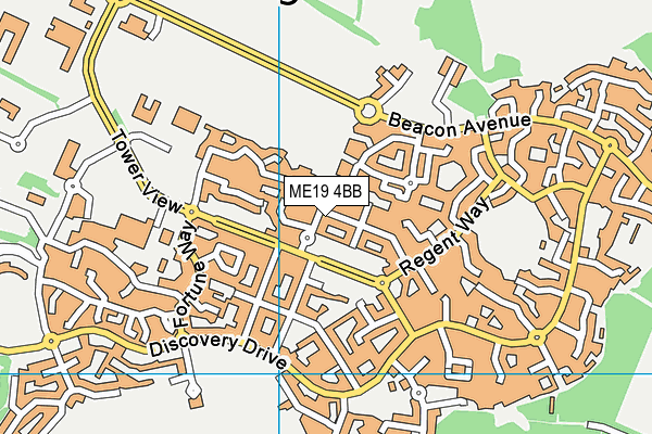 ME19 4BB map - OS VectorMap District (Ordnance Survey)