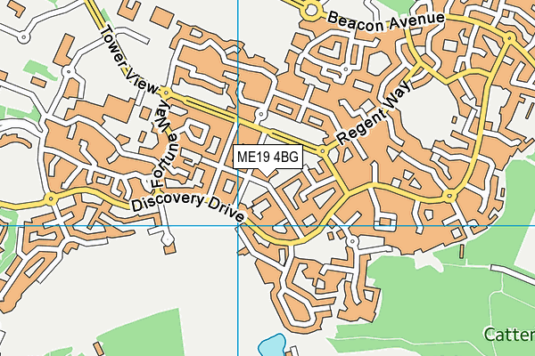 ME19 4BG map - OS VectorMap District (Ordnance Survey)
