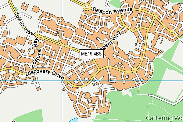 ME19 4BS map - OS VectorMap District (Ordnance Survey)