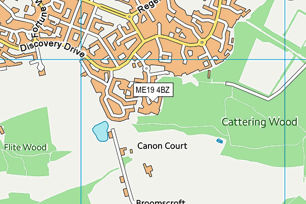 ME19 4BZ map - OS VectorMap District (Ordnance Survey)