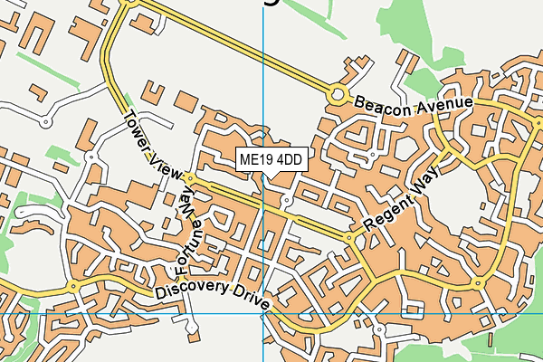 ME19 4DD map - OS VectorMap District (Ordnance Survey)