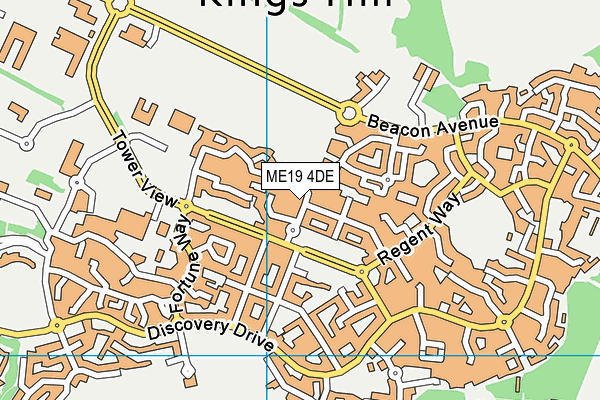ME19 4DE map - OS VectorMap District (Ordnance Survey)
