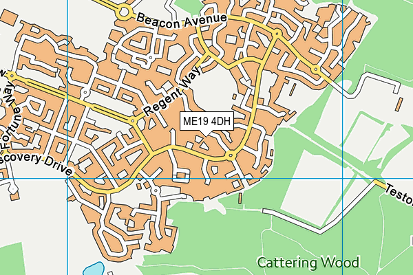 ME19 4DH map - OS VectorMap District (Ordnance Survey)